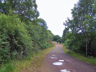 Kinloch Forest & Leitir Fura
