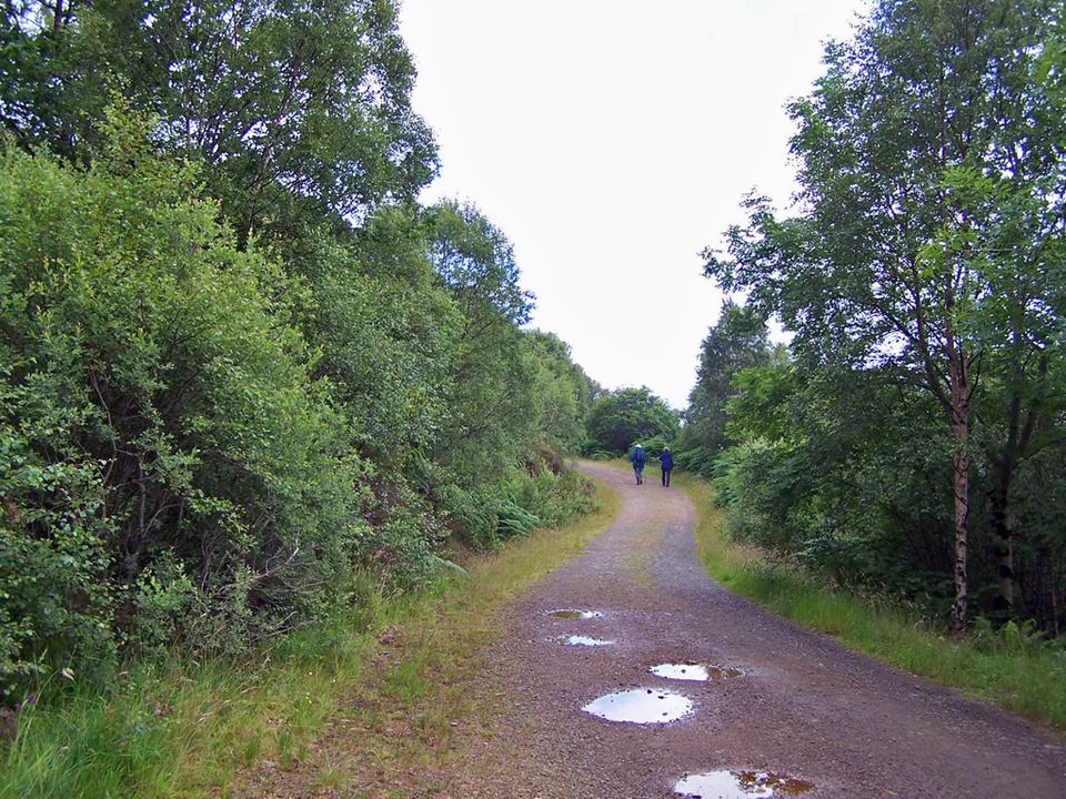 Kinloch Forest & Leitir Fura