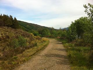 Kylerhea otter hide